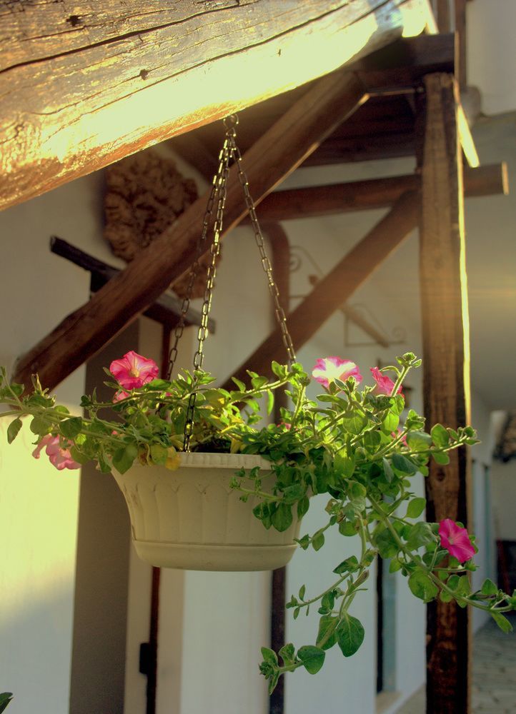 Domu Elvira Guest house 3*